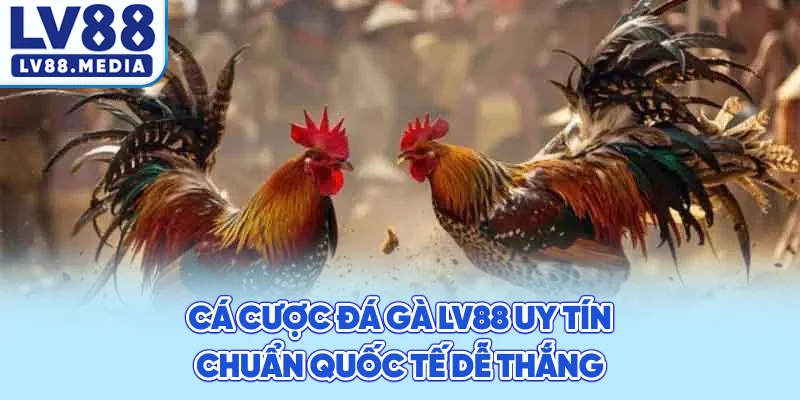 Cá Cược Đá Gà LV88 Uy Tín Chuẩn Quốc Tế Dễ Thắng