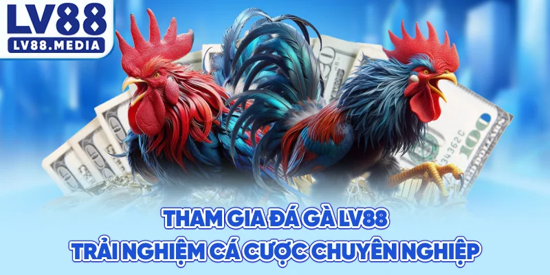 Tham Gia Đá Gà LV88 Trải Nghiệm Cá Cược Chuyên Nghiệp